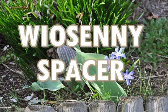 Paulina Bagińska: Wiosenny spacer