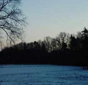                 Bakusiowe Bzdetki: Spadł śnieg