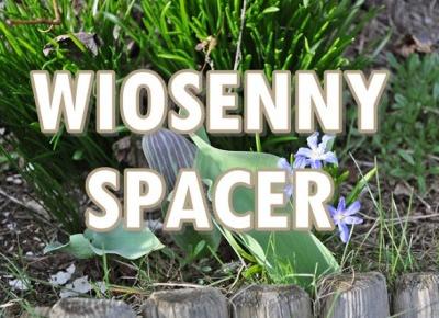 Paulina Bagińska: Wiosenny spacer