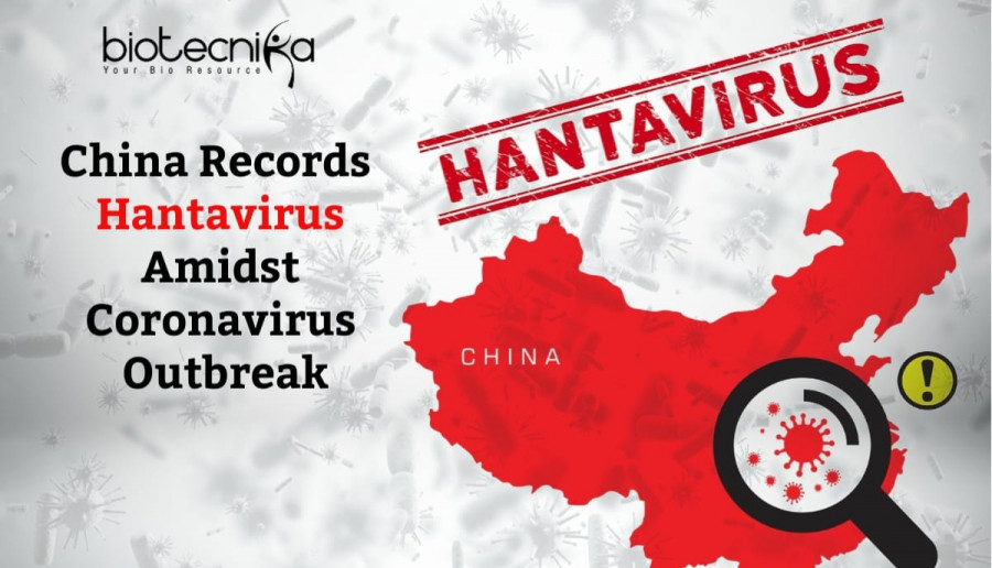 Kolejny wirus w Chinach zwany hantawirusem!! Wirus  nie przenosi się z człowieka na człowieka.