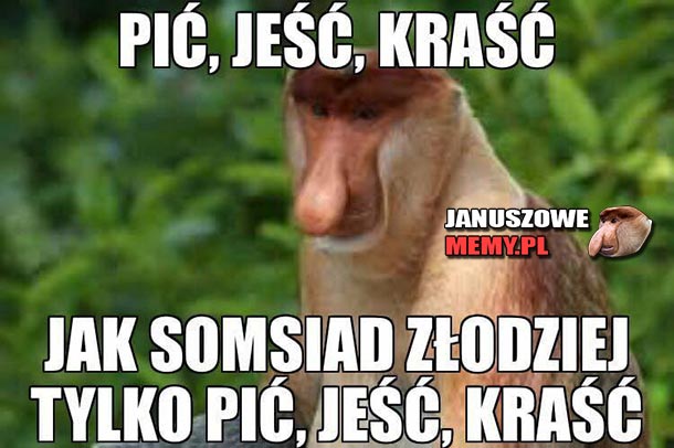 Dawka humoru