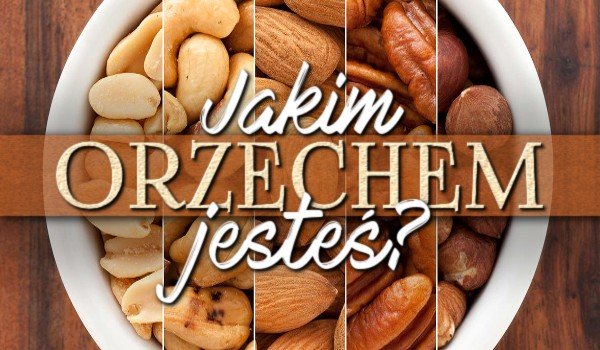 Jakim orzechem jesteś?