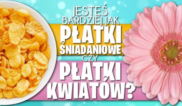 Jesteś bardziej jak płatki śniadaniowe czy jak płatki kwiatów?