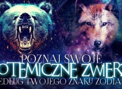 Poznaj swoje totemiczne zwierzę według Twojego znaku zodiaku!