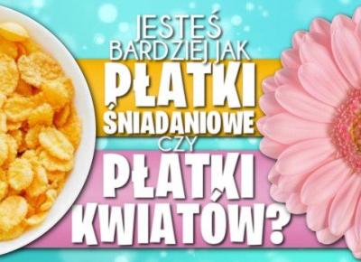 Jesteś bardziej jak płatki śniadaniowe czy jak płatki kwiatów?