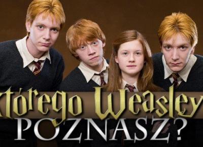 Którego Weasleya poznasz?