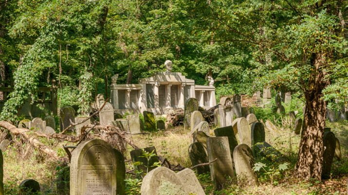 Cmentarz Żydowski na Woli - Szlaki online