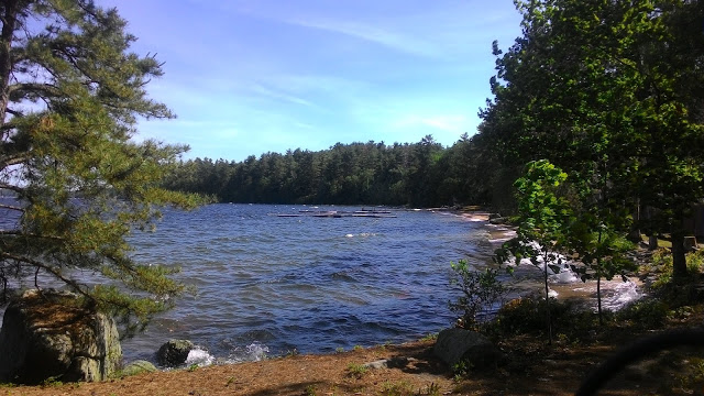 Camp w Maine czyli jak podreptałam za ocean
