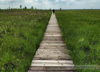 Biebrzański Park Narodowy: mocno subiektywny przewodnik po ulubionych miejscach (i tych, które warto zobaczyć)