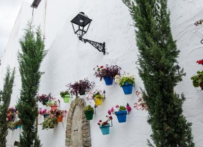 Estepona - miasteczko kwiatów i sztuki ulicznej