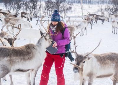 Wizyta u Saamów i zaprzęg reniferowy na północy Norwegii