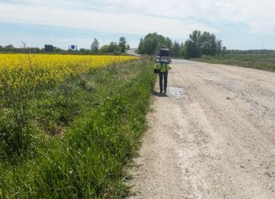 Auto Stop Race - to już jest koniec