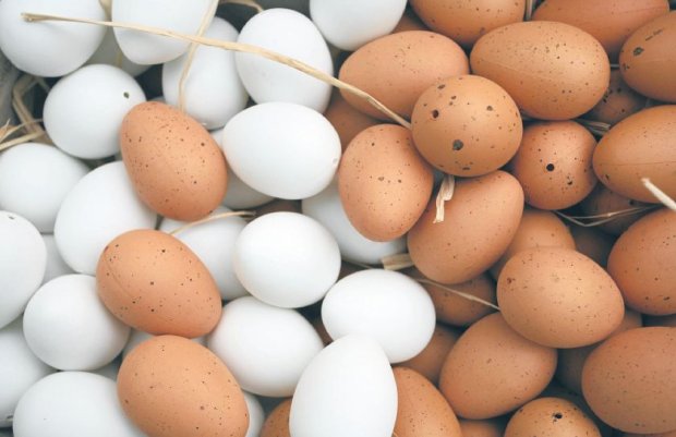Jak Sprawdzić Świeżość Jajek ? | Pomysł Na Wszystko