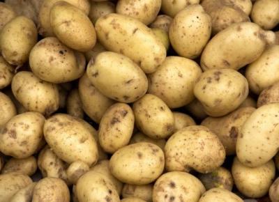 Jak uprawiać ziemniaki ? Wskazówki | Pomysł Na Wszystko