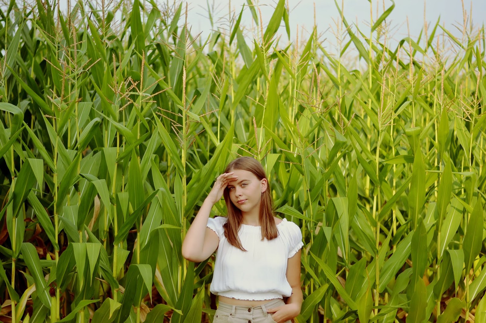 Julia Lipska: CORN FIELD