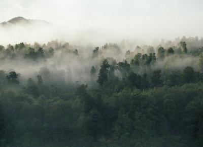 Niedojrzałość wobec książki        |         KAKTUSOWY SAD