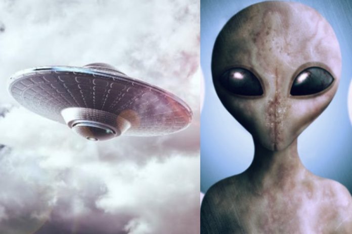 KALENDARZ ŚWIĄT NIETYPOWYCH - DZIEŃ UFO, DZIEŃ HOT-DOGA?