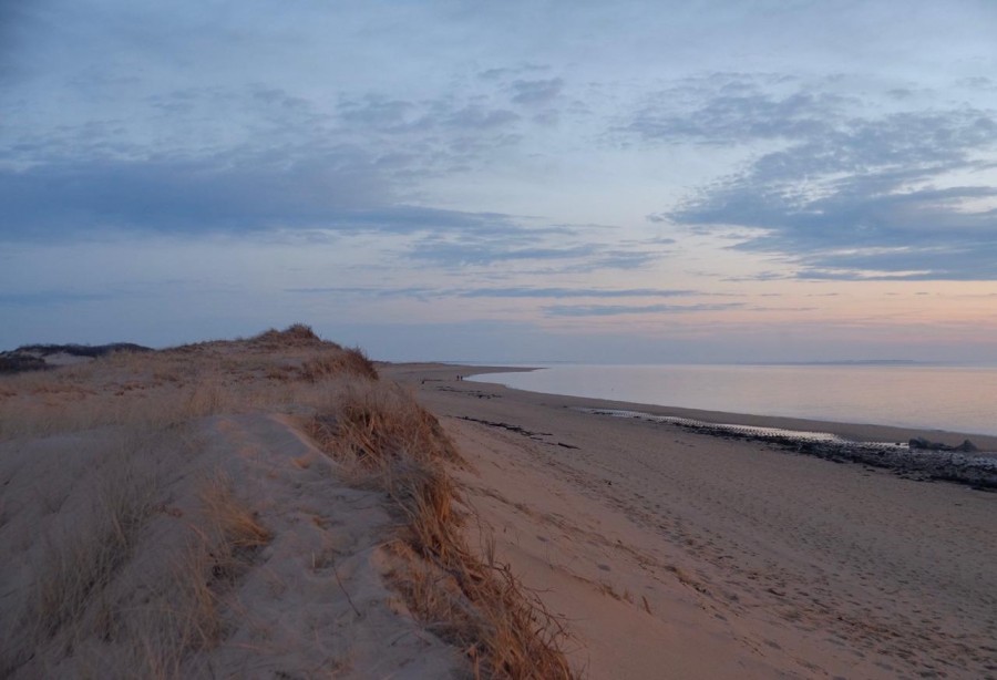 Ciekawostki o polskich plażach