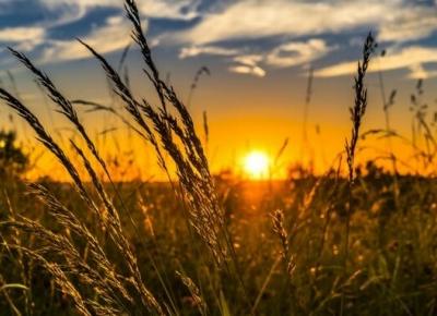 Nietypowe święta w lipcu