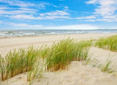 Najlepsze memy o wakacjach