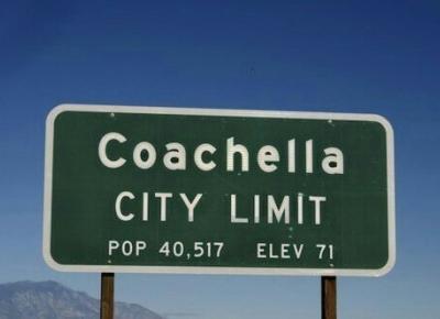 Coachella Inspirations  - The Rose Style
