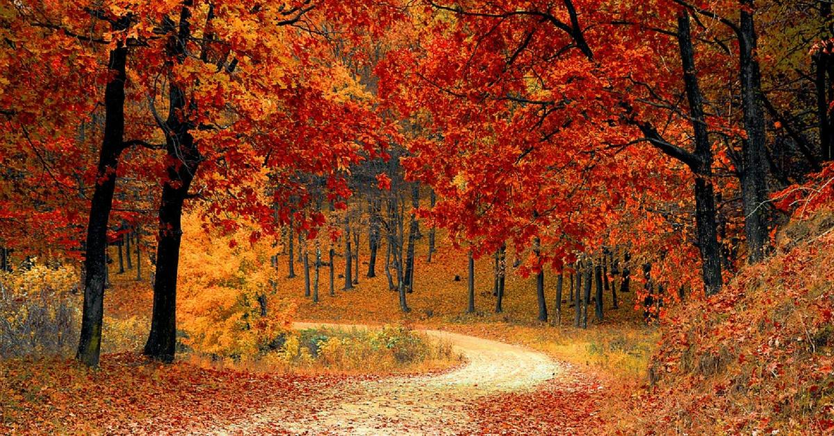 Rozsądne Odchudzanie: Co suplementować jesienią ?