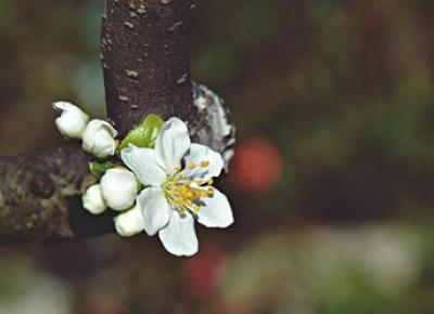 Fotografia by M - Strona główna | Facebook