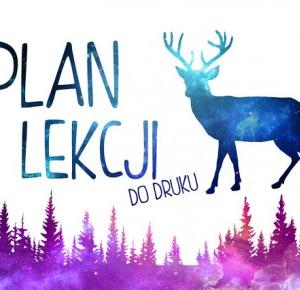 PLAN LEKCJI DO DRUKU