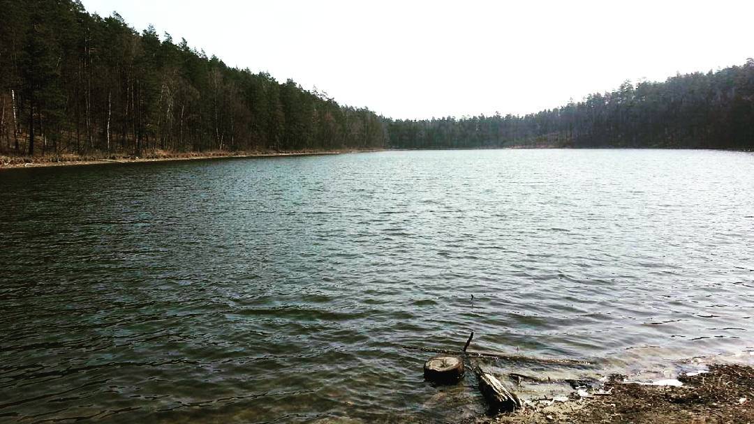 instagram.com/seba_bednarski