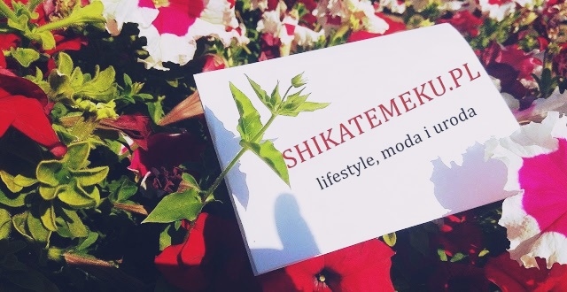 Shikatemeku.pl: Podsumowanie miesiąca [październik]