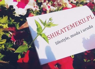 Shikatemeku.pl: Podsumowanie miesiąca [październik]