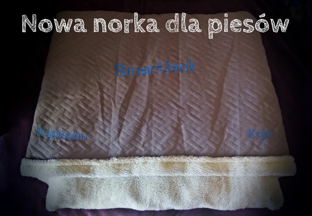 Norka od Gadżeciaki.pl  [recenzja] | 
