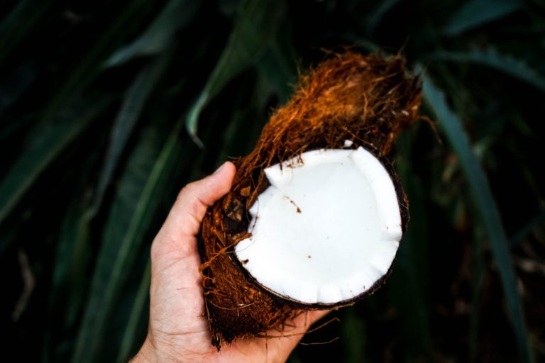 4 niesamowite zastosowania oleju kokosowego - My Fit Planet