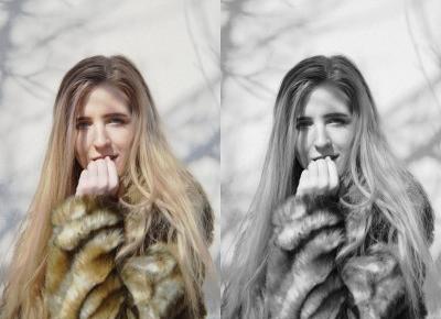 Monika Michalik: FUTERKO