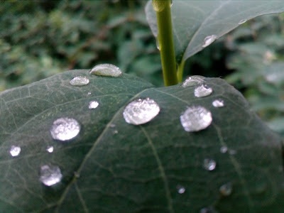 Zyj w zgodzie z natura - nowa droga.