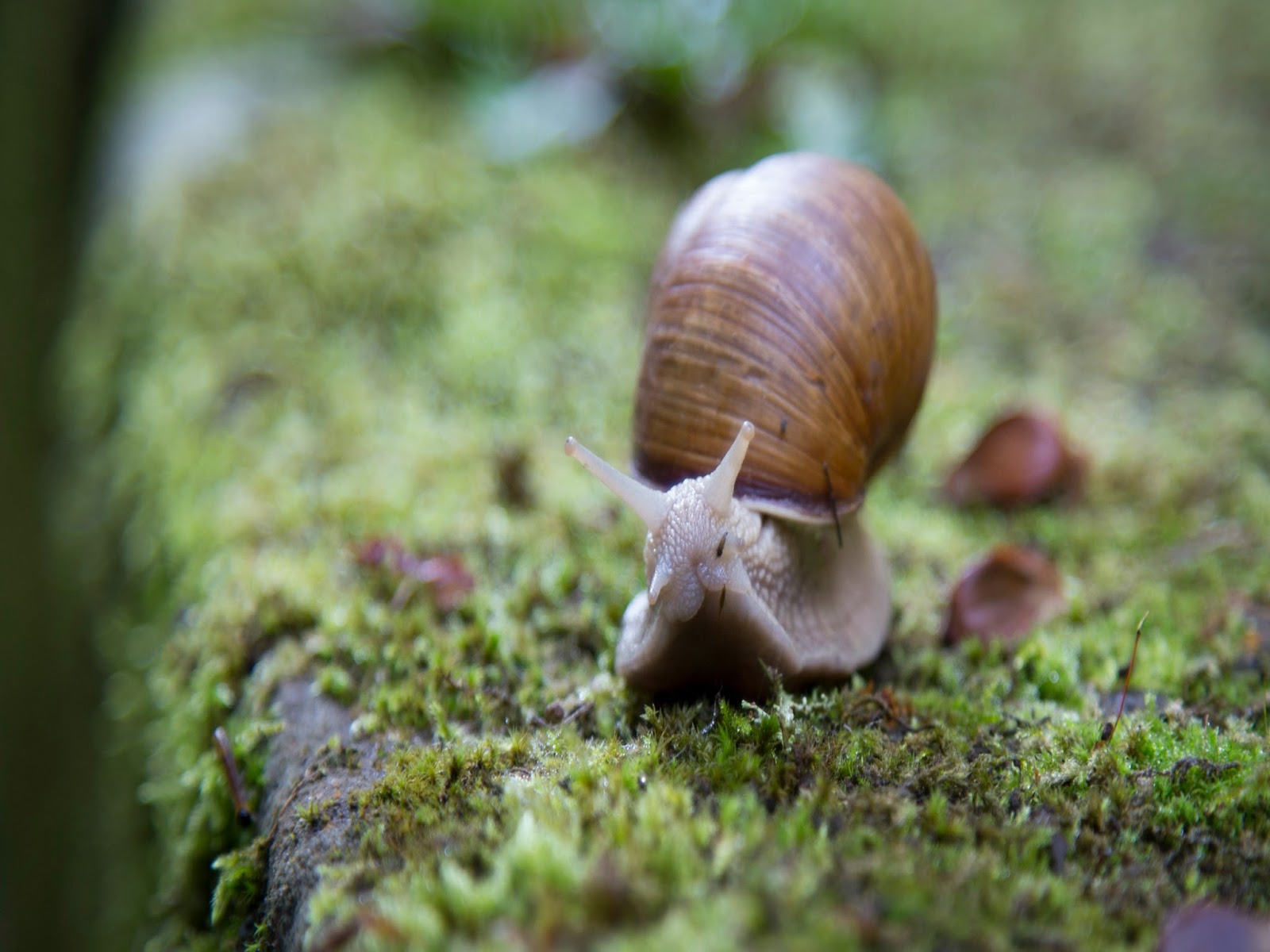 Zwolnij z rana. O sztuce Slow Morning