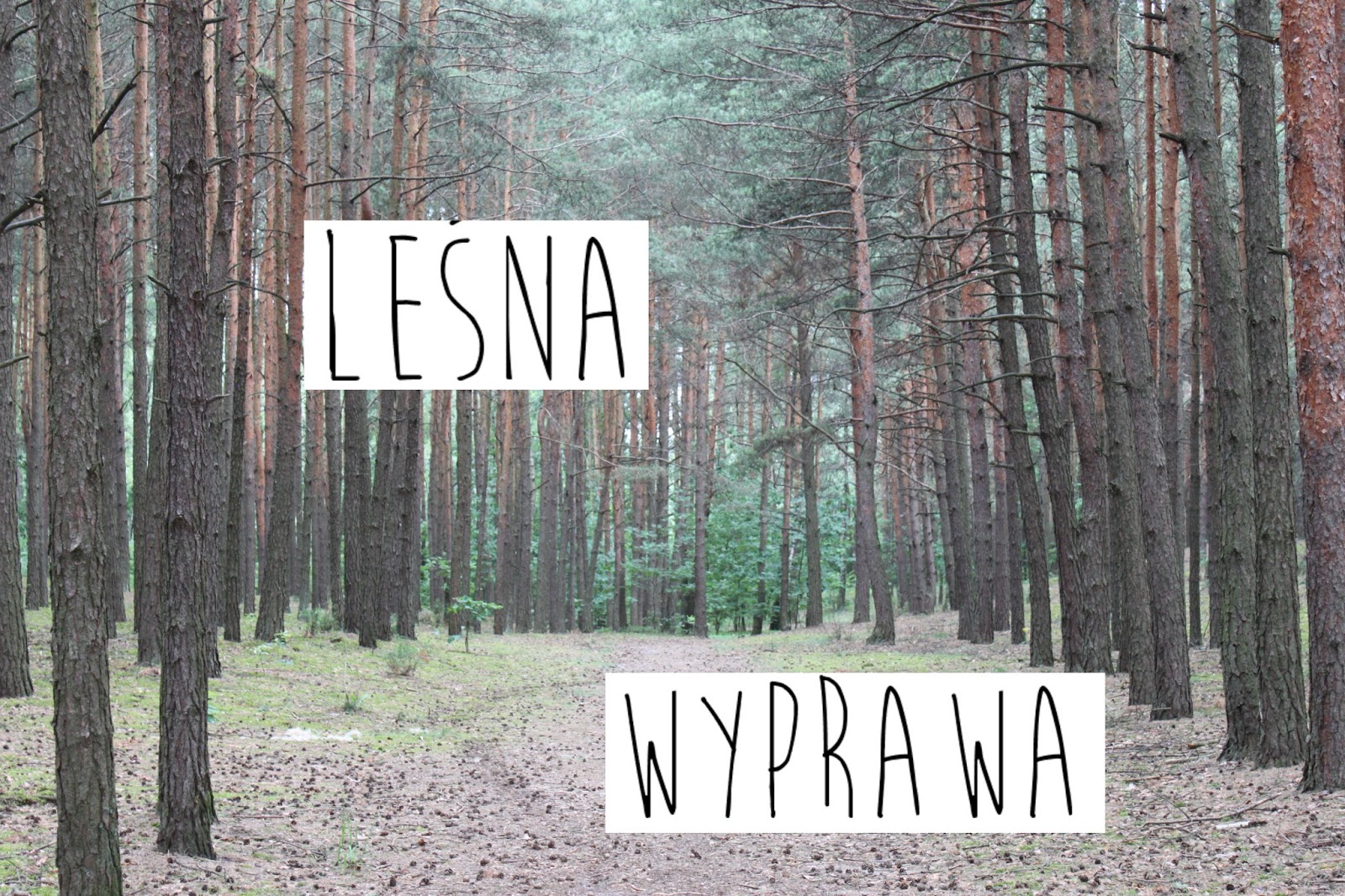 #63 LEŚNA WYPRAWA 