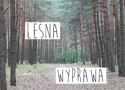 #63 LEŚNA WYPRAWA 