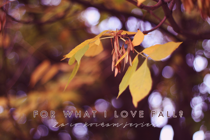 Patrycja Piankowska: Reasons why I love autumn 
