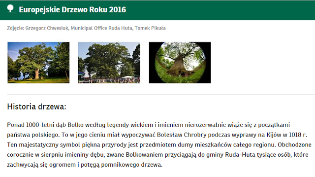 Podróże Dwóch Włóczykijów  ~  Two Gadabouts' Journeys: Głosujemy na polski dąb Bolko w konkursie Europejskie Drzewo Roku 2016! :)
