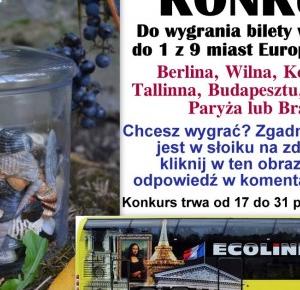 Podróże Dwóch Włóczykijów  ~  Two Gadabouts' Journeys: Konkurs turystyczny z ECOLINES - do wygrania bilety w obie strony do jednego z 9 miast Europy! :) 