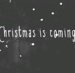 Typical Girl : X-MAS IS COMING.