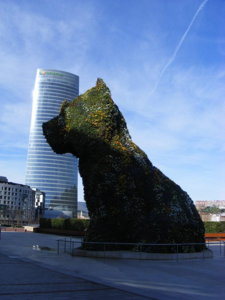 Puppy z Bilbao – Udomowiony