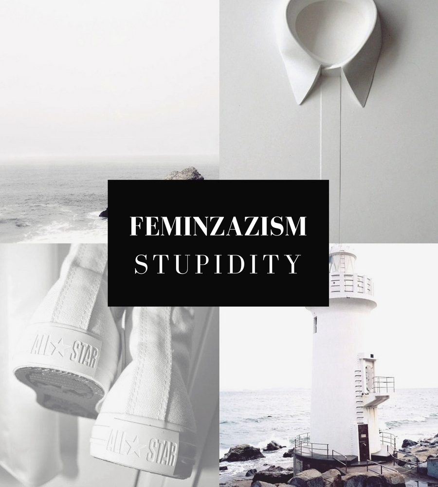 Feminazistki w ataku! – PASSIONS PROJECT