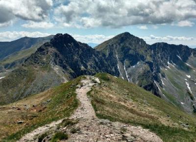 W podróży do chmur : ROHACZE