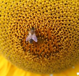 Tak Po Prostu : Azyl