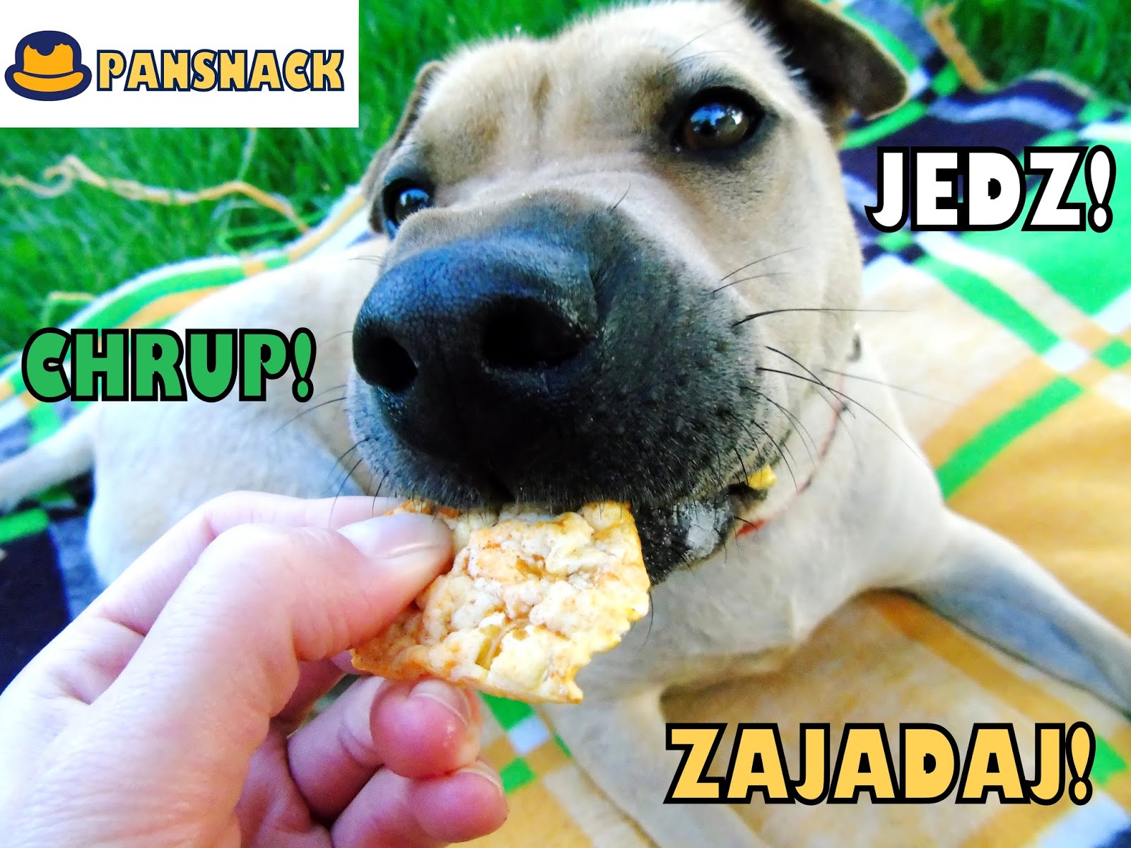 Blog testerski: PANSNACK - Smakowita alternatywa dla słonych przekąsek!