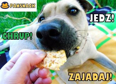 Blog testerski: PANSNACK - Smakowita alternatywa dla słonych przekąsek!