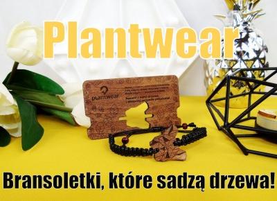 Blog testerski: PLANTWEAR - Urocze, drewniane bransoletki dla kaÅ¼dego