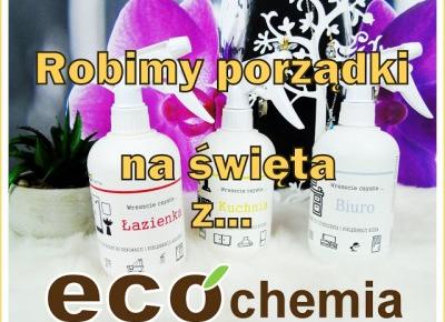 Blog testerski: Ecochemia.pl - WysprzÄtaj swÃ³j dom na bÅysk! ;)